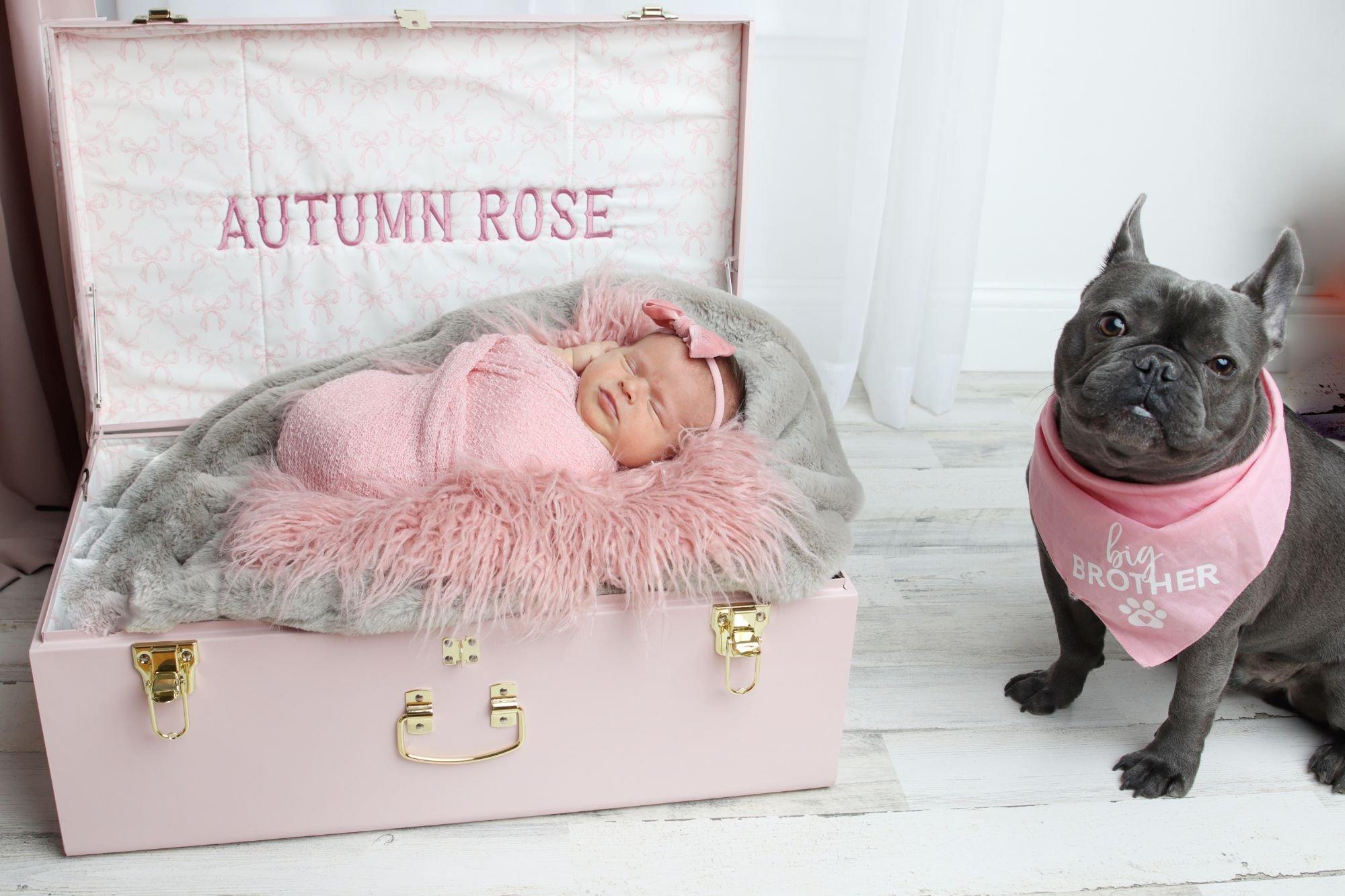 carousel-hero-element image-2