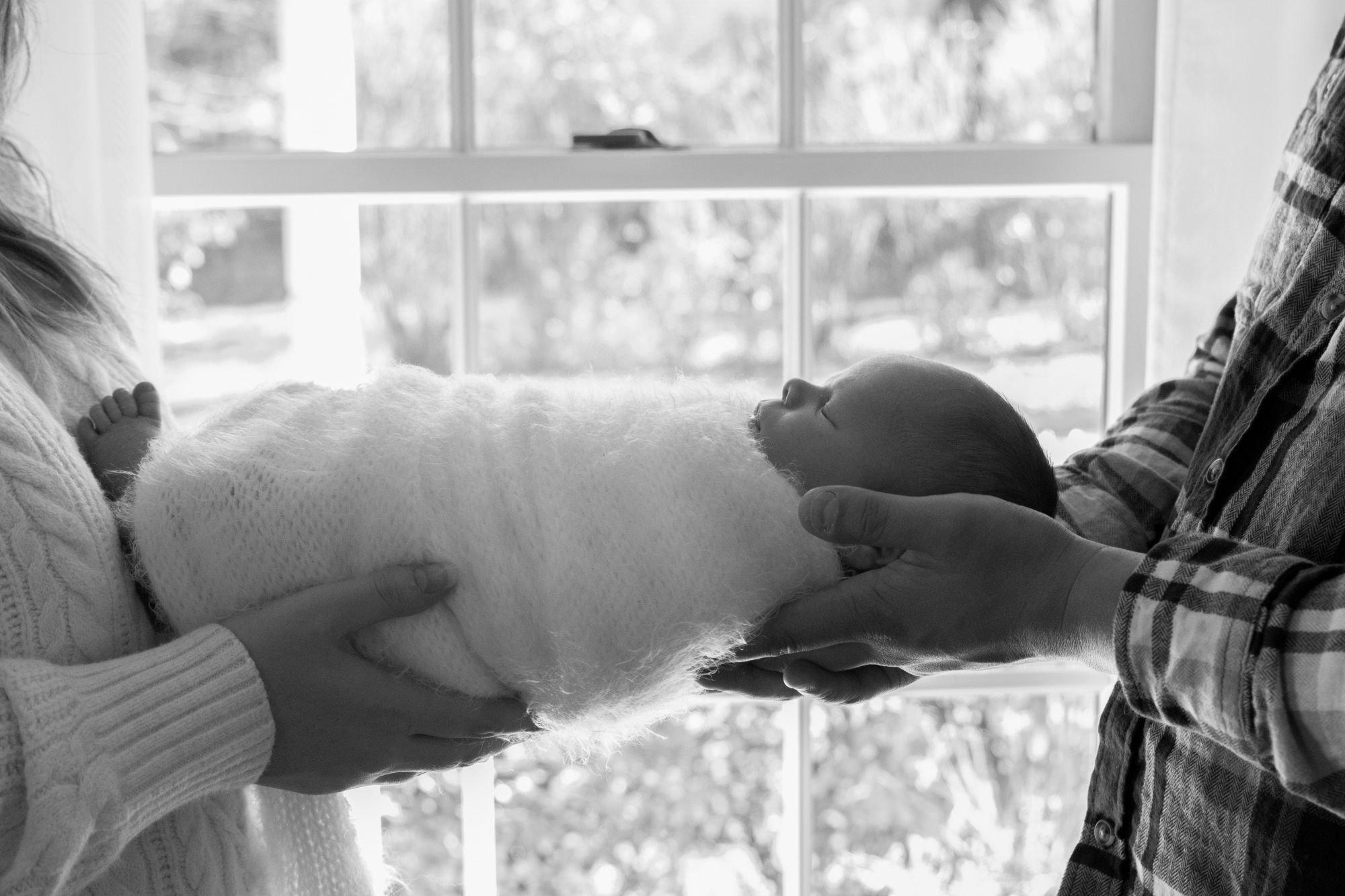 carousel-hero-element image-19